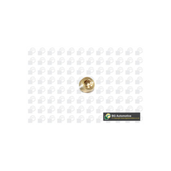 Image for Sump Plug