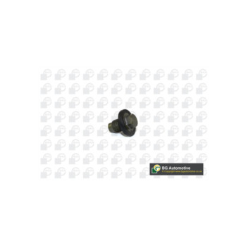 Image for Sump Plug