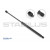 Image for Gas Spring