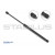 Image for Gas Spring