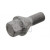 Image for Wheel Bolt/Nut