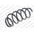 Image for Coil Spring