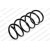 Image for Coil Spring