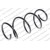 Image for Coil Spring