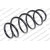 Image for Coil Spring