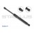 Image for Gas Spring