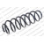 Image for Coil Spring