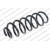 Image for Coil Spring