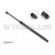 Image for Gas Spring