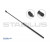 Image for Gas Spring