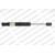 Image for Gas Spring