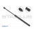 Image for Gas Spring