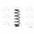 Image for Coil Spring