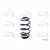 Image for Coil Spring