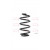 Image for Coil Spring
