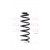 Image for Coil Spring