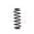 Image for Coil Spring