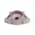 Image for Strut Mount Kit