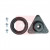 Image for Strut Mount Kit