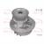 Image for Water Pump