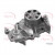 Image for Water Pump