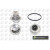 Image for Water Pump