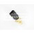 Image for Temperature Transmitter