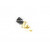 Image for Temperature Transmitter