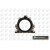 Image for Crankshaft Seal