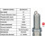 Image for Spark Plug