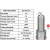 Image for Spark Plug