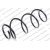 Image for Coil Spring