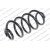 Image for Coil Spring
