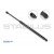 Image for Gas Spring