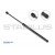 Image for Gas Spring