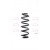 Image for Coil Spring