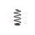 Image for Coil Spring