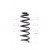 Image for Coil Spring