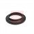 Image for Strut Mount Kit