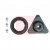 Image for Strut Mount Kit