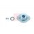Image for Strut Mount Kit