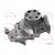 Image for Water Pump