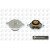 Image for Radiator Cap