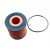 Image for Oil Filter