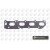 Image for Manifold Gasket