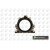 Image for Crankshaft Seal