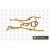Image for Timing Case Gasket