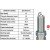 Image for Spark Plug