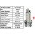 Image for Spark Plug