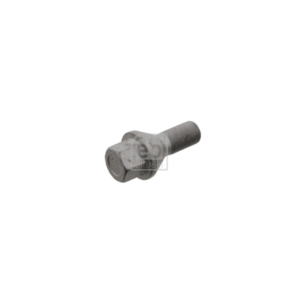 Wheel Bolt/Nut image